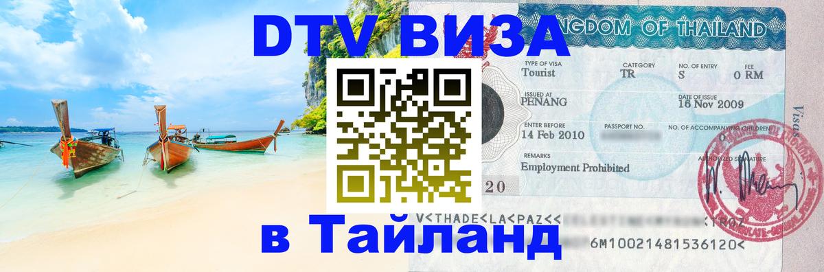 Сколько стоит DTV виза — актуальные цены, оформление даже без документов - Казань 